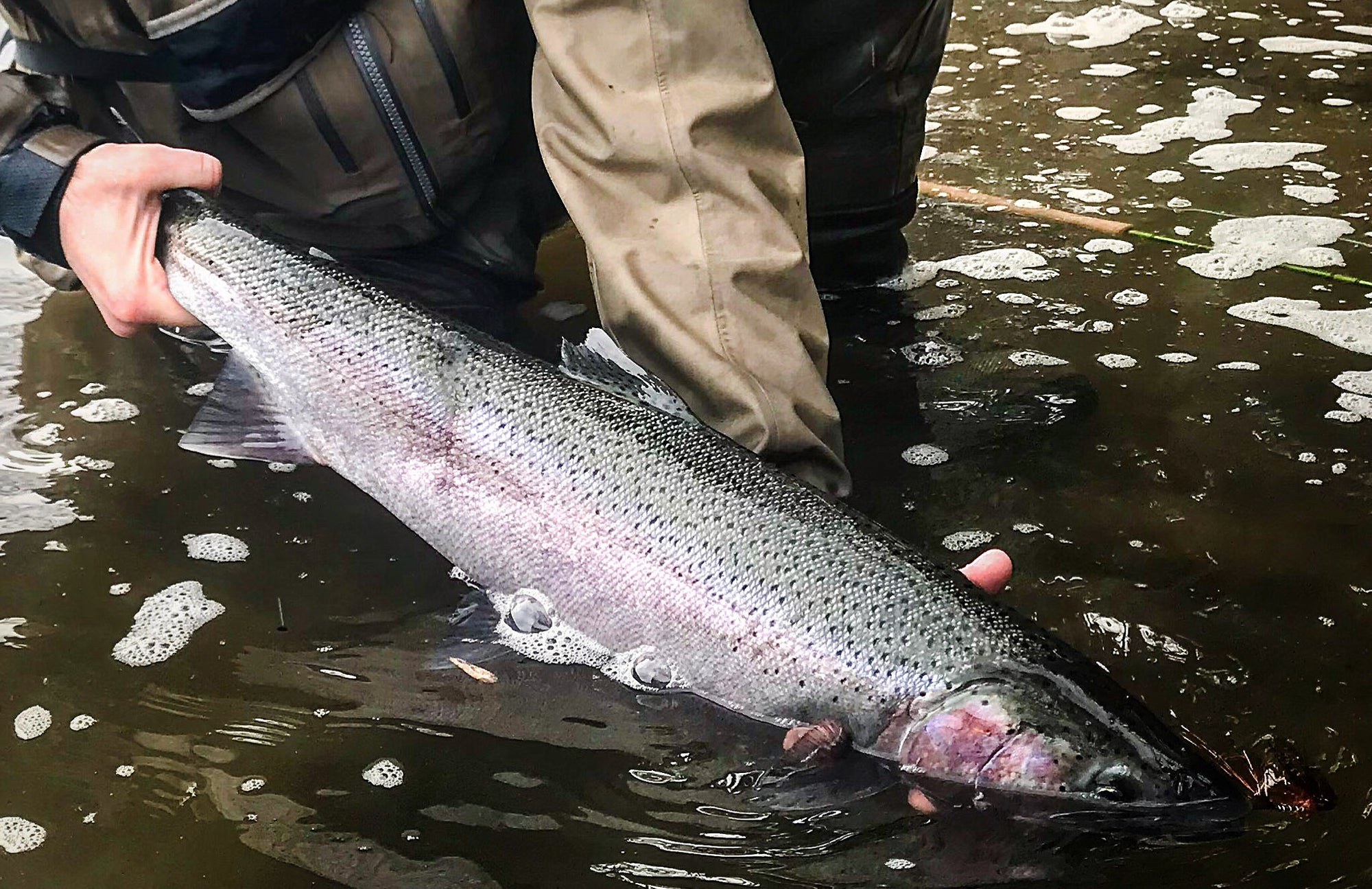 Fishing Report January 10th, 2019