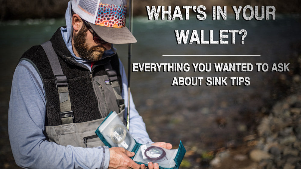 What's In Your Wallet?