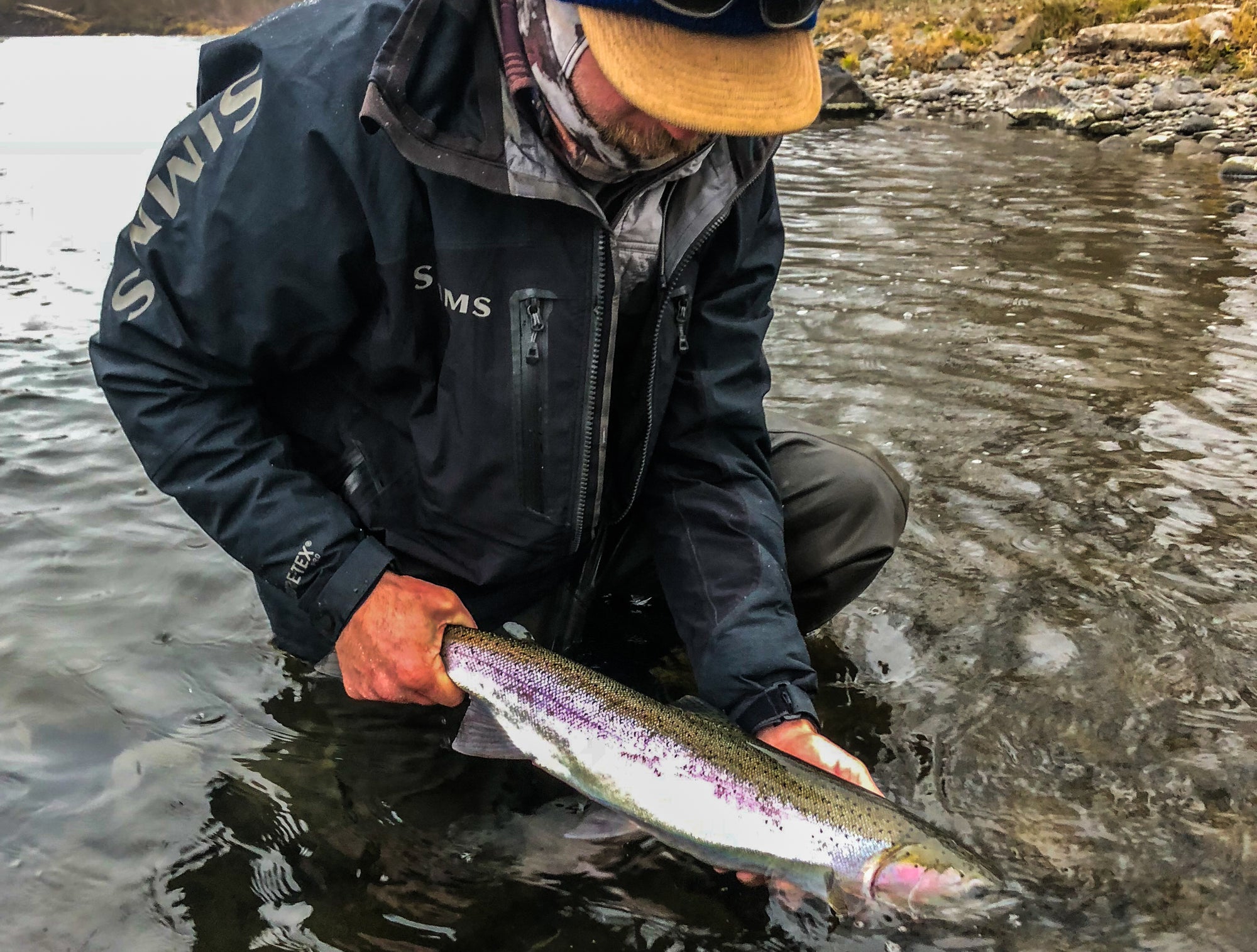 Rogue River Field Notes by Stuart Warren