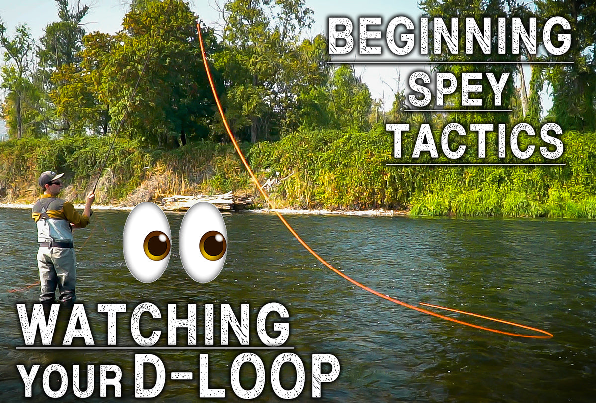 Watching Your D-Loop  Beginning Spey Tactics Ep. 7 