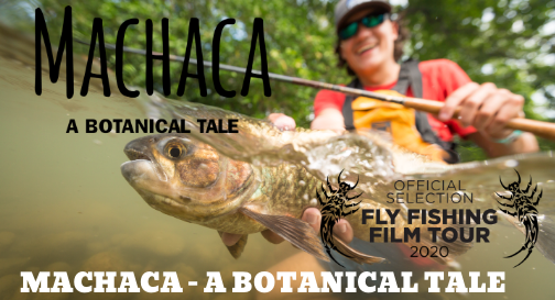 Machaca - A Botanical Tail | 2020 F3T Trailer