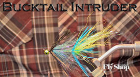 Bucktail Intruder