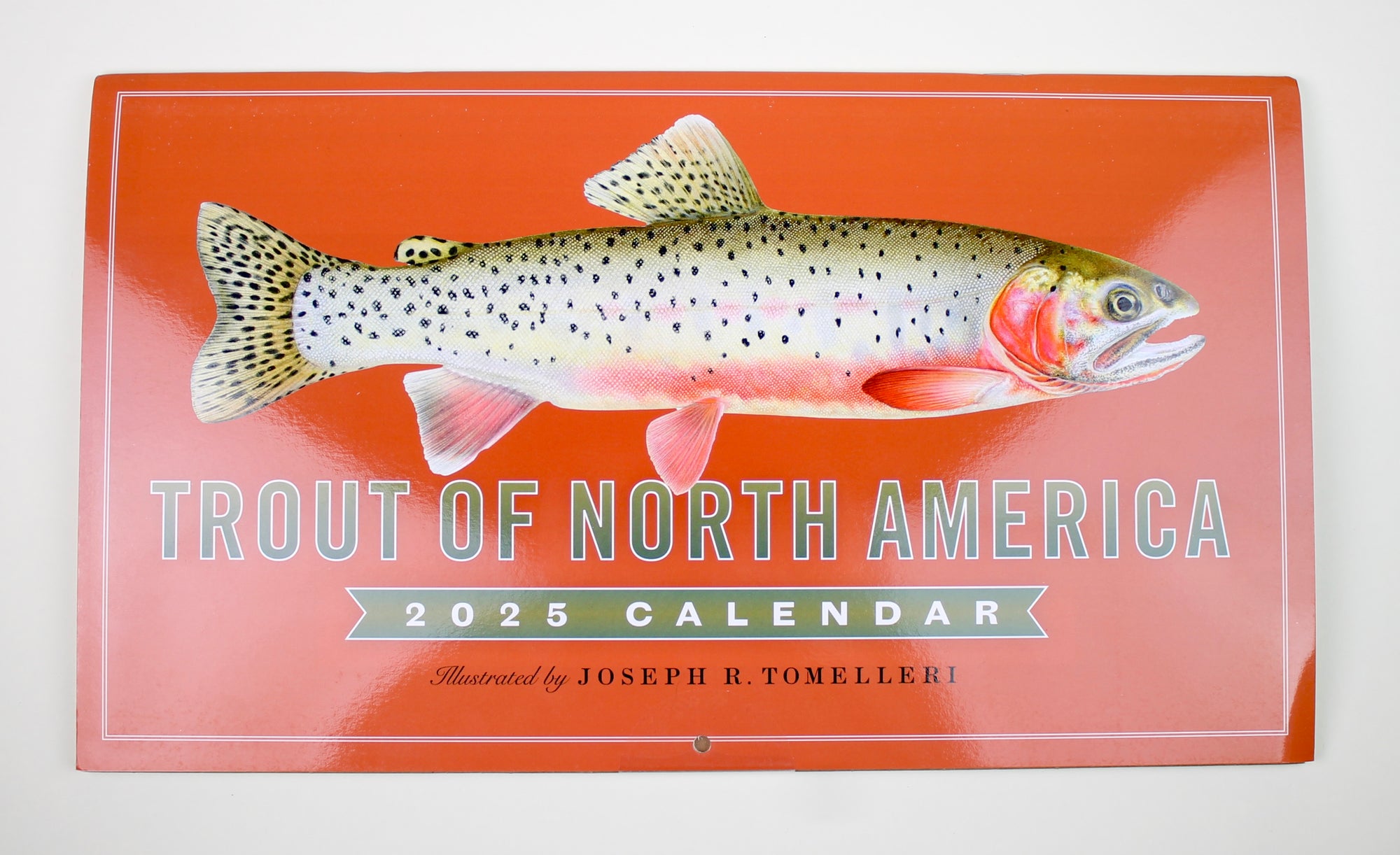 Trout of North America Wall Calendar 2025