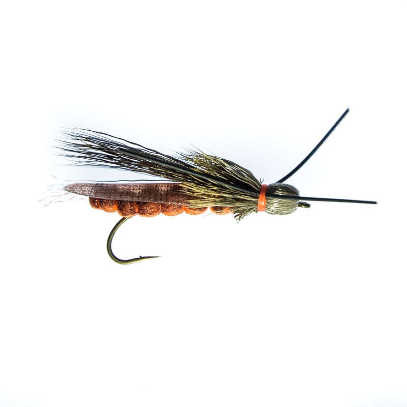 Trout Dry Flies Tagged rogue foam salmonfly - Ashland Fly Shop