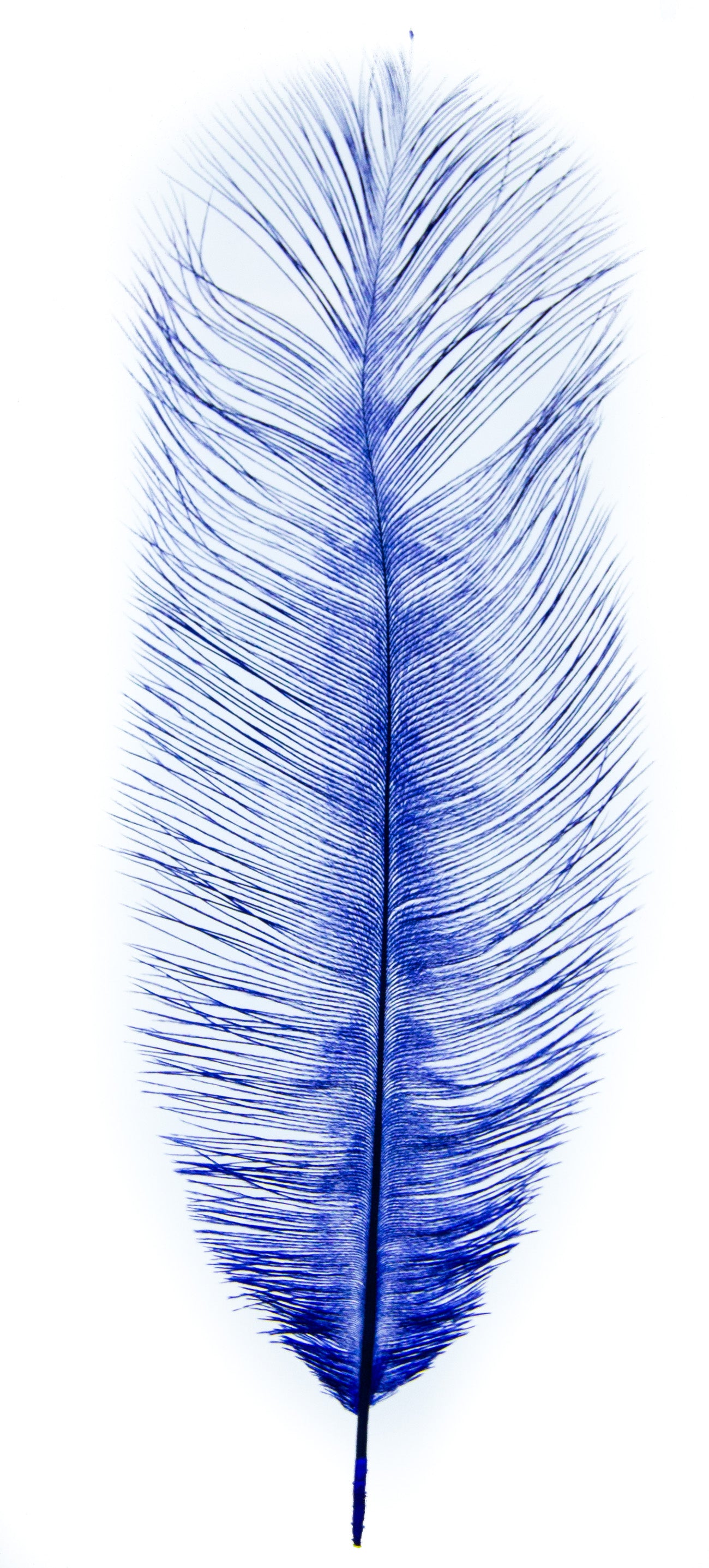 HERMÈS Blue Glacier Ostrich Leather Mini Plume II at 1stDibs