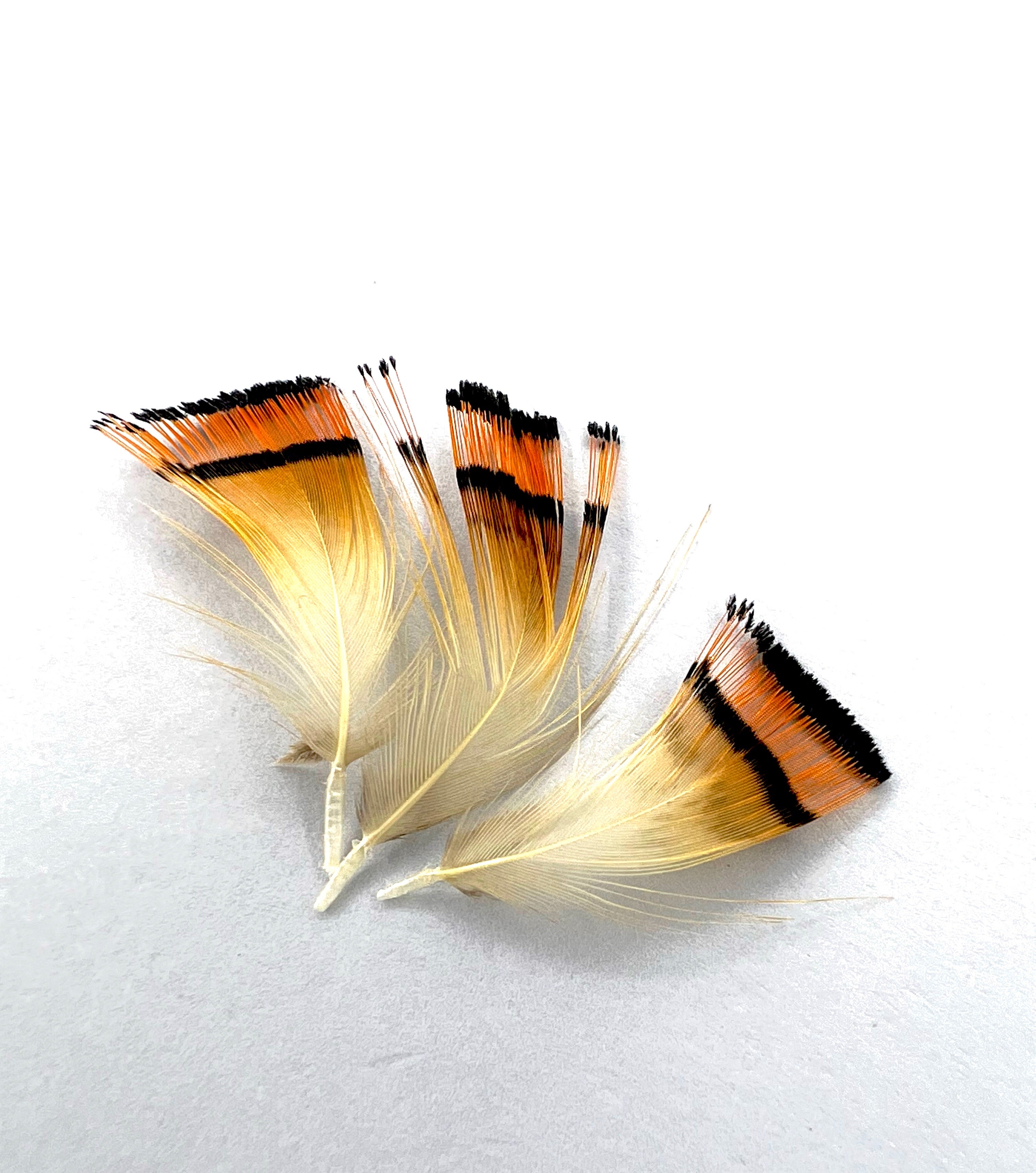 50 Pcs/Lot 3 Sizes Mixed Natural Golden Color Pheasant Crest Feather Fly  Tying Materials