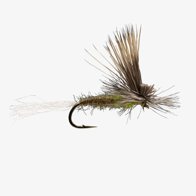 E/C Caddis